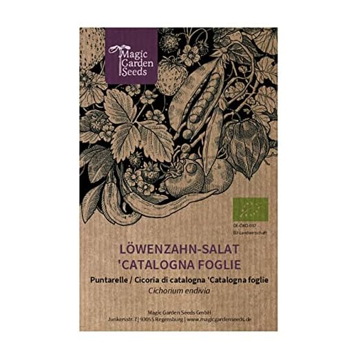 Cicoria 'Catalogna a foglie frastagliate' (Cichorium endivia) biologica - circa 375 semi