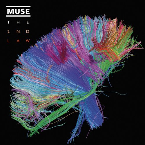 Muse