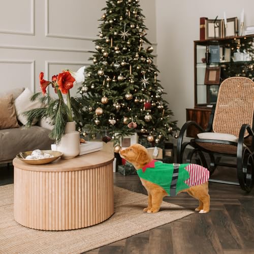 Disfraz navideño para perro talla XXL color verde miniatura 5