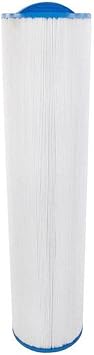 Filbur FC-0171 Antimicrobial Replacement Filter Cartridge for Dimension One Pool and Spa Filter