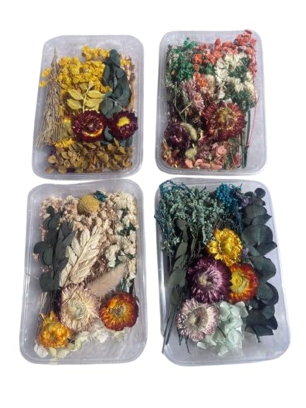 Premium Dried Flowers for Resin Art & Craft | Natural Pressed & Dry Flower Mix | Epoxy Resin Decoration & DIY Art, Jewellery, Coasters & Home Décor (Multi Random Color - Pack of 2)-picture-40