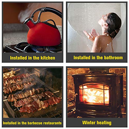 RuleaxAsi WIFI Detector de gás Detector de vazamento de gás combustível doméstico Detector de vazame