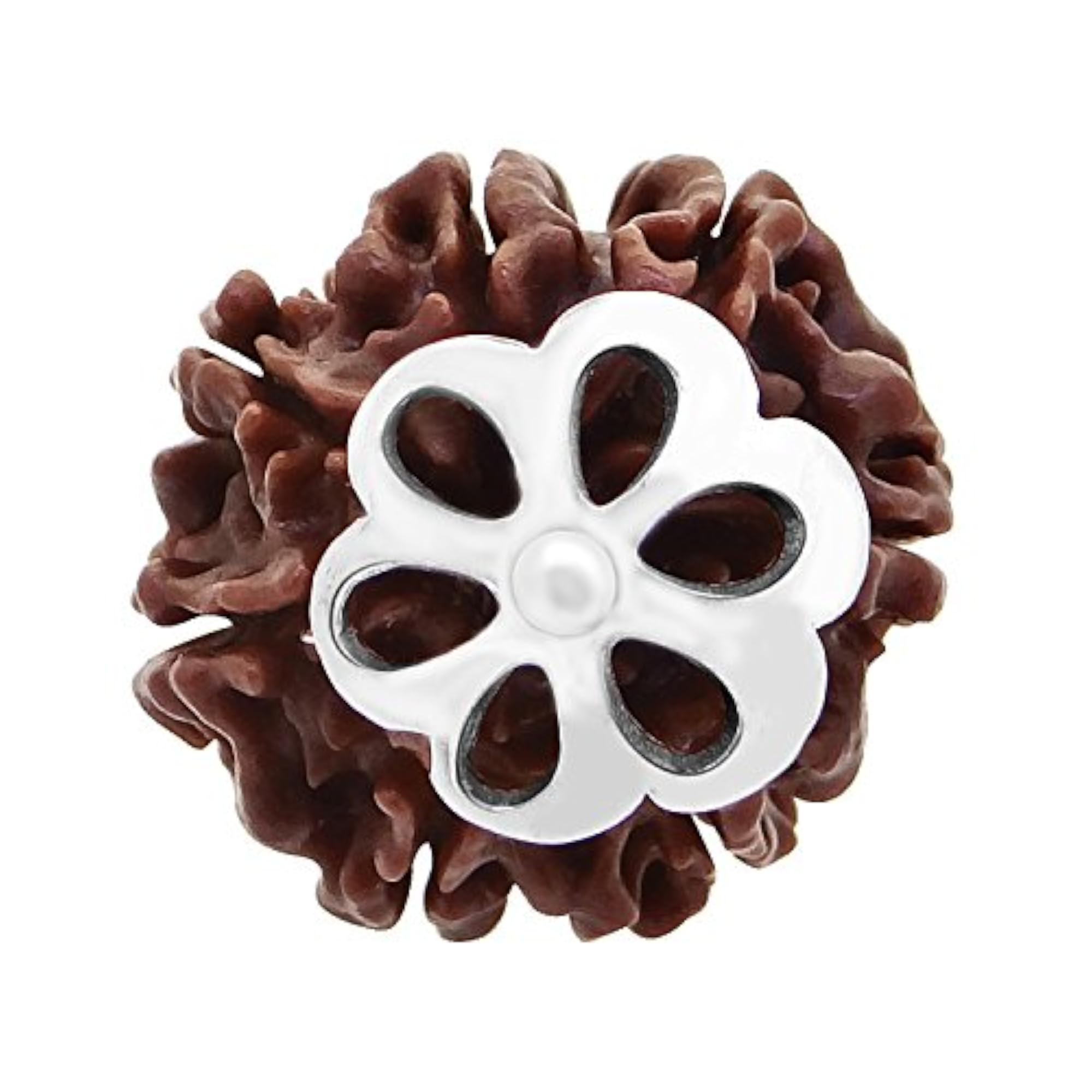 7 Mukhi Rudraksha Silver Pendant, 925