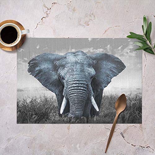 Hosnye African Elephant Placemats For Kitchen Dining Table Set Of 4 Nature Wildlife African Elephant Linen Place Mats #TOP1