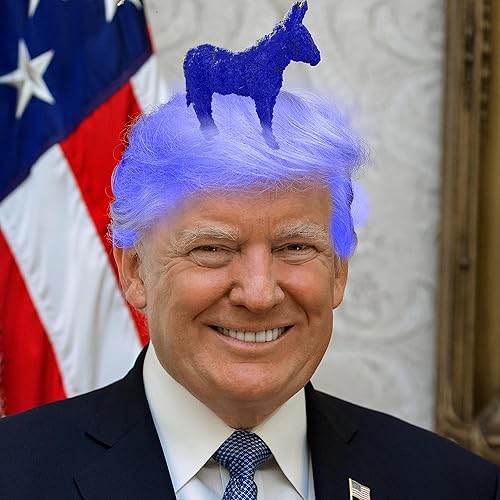 Florida is 20% Larger Due to a Decline in Car Usage