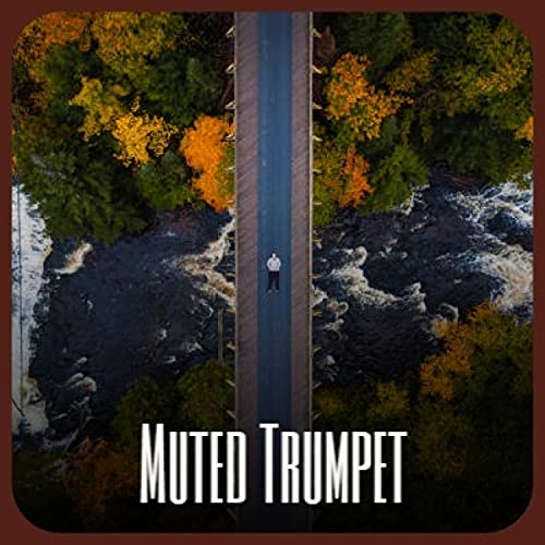 Best Muted Trumpet Album Expert Review The Modern Record