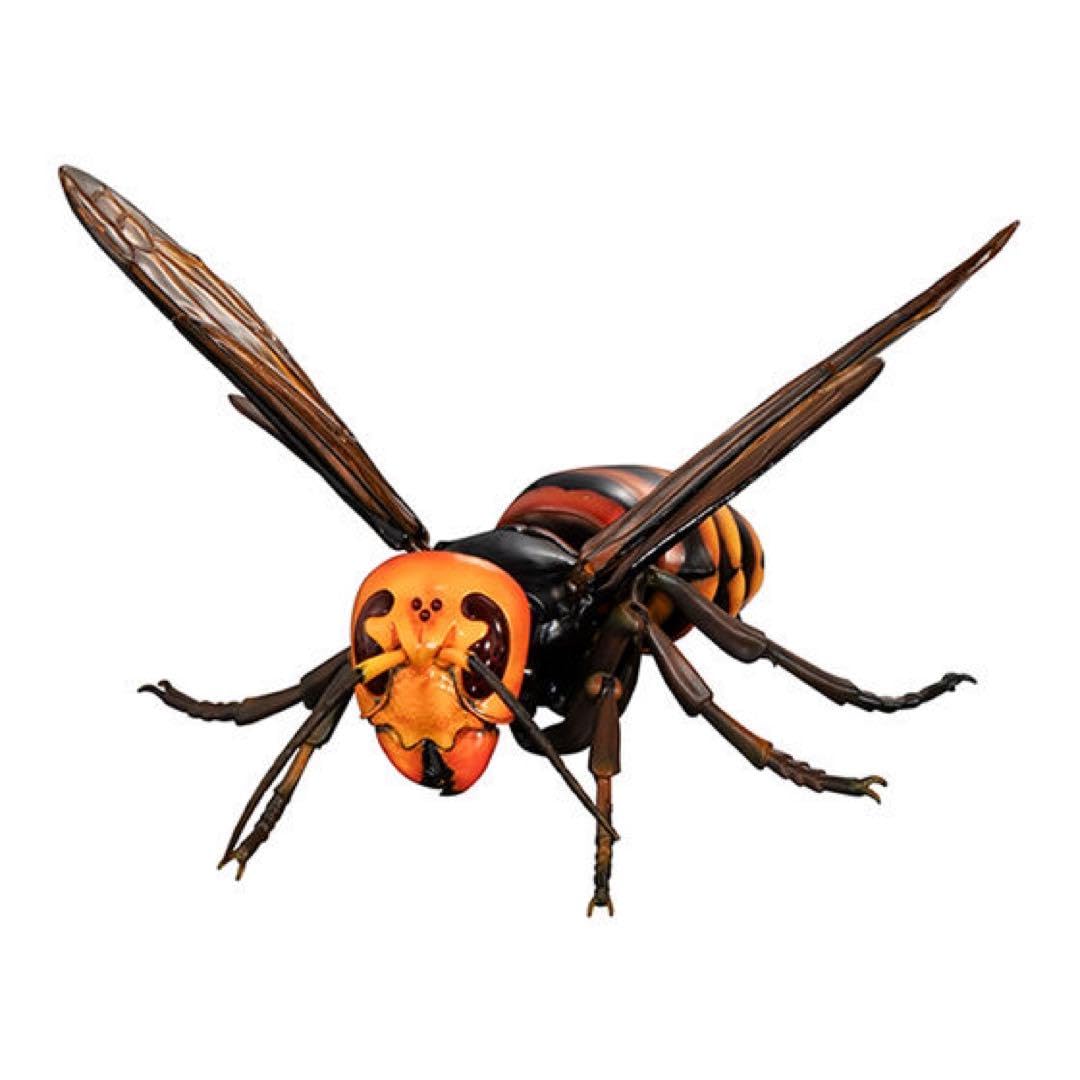 オンライン版 限定 いきもの大図鑑 アドバンス スズメバチ 02 全3種 Amazon | いきもの大図鑑アドバンス スズメバチ02 [全3種セット