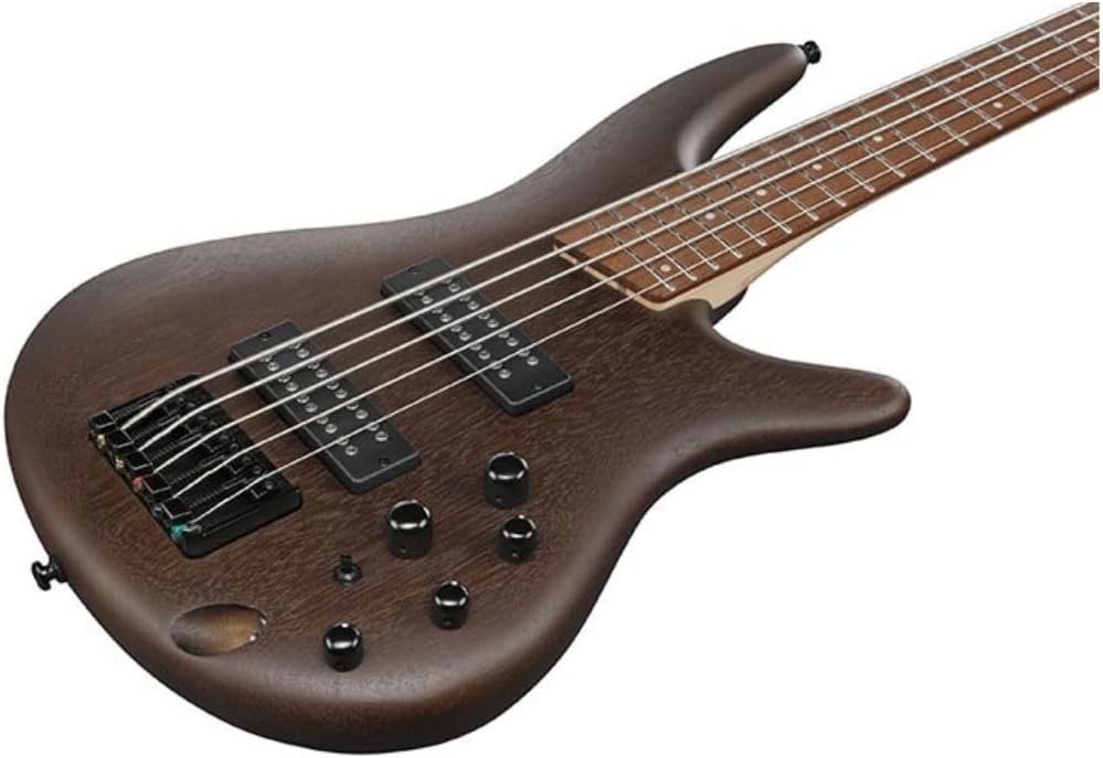 Ibanez SR305EB Standard 5-String Right-Handed Electric Bass Guitar with Jatoba Fretboard, Nyatoh Body, and PowerSpan Dual Coil Pickups (Walnut Flat)