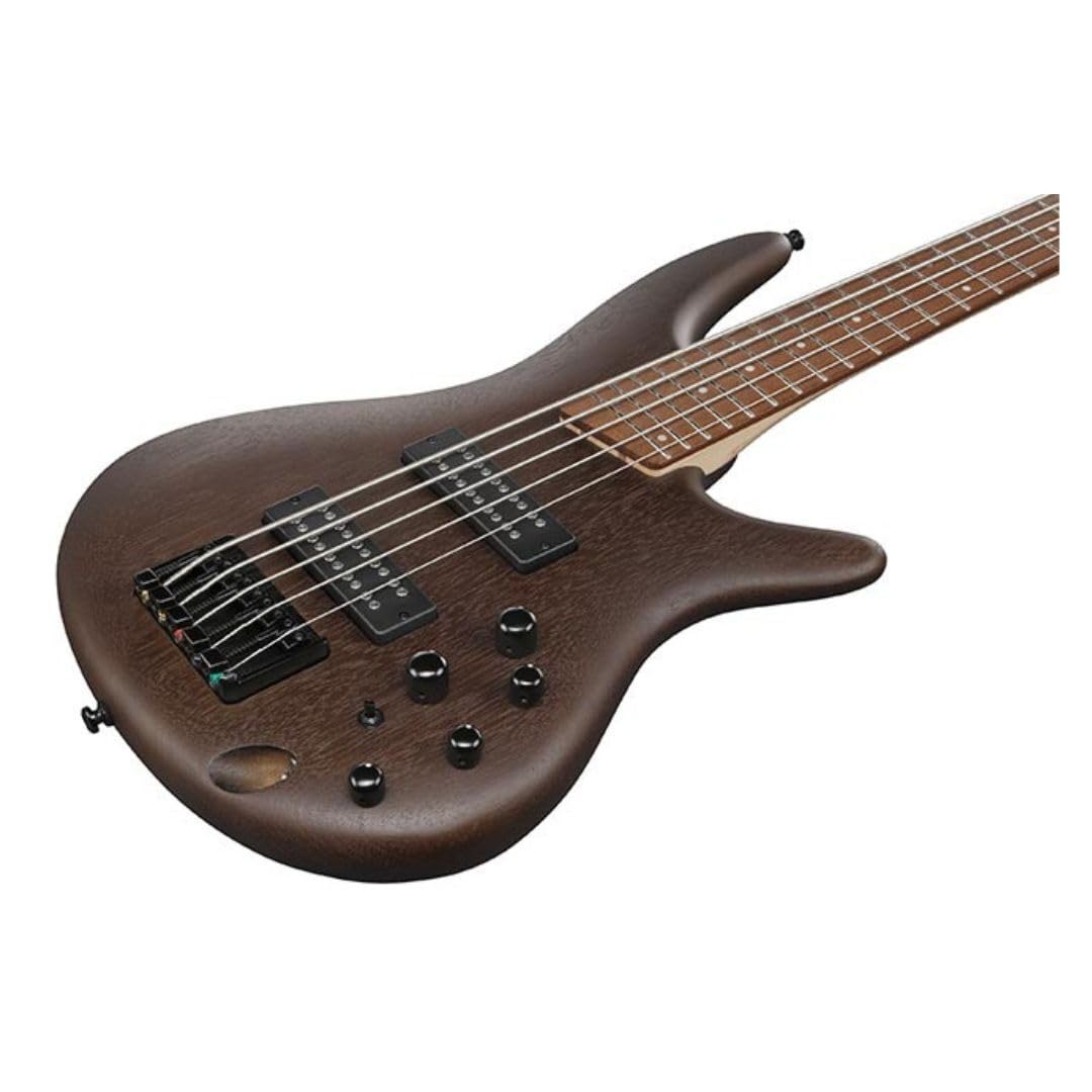 Amazon.com: Ibanez SR305EB Standard 5-String Right-Handed