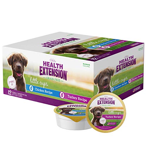Get Healthier and Happier Pups with the Top 10 Health Extension Dog