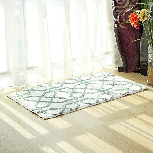 Tapis de cuisine GZZ lavable pour stopper l'eau sur le sol
