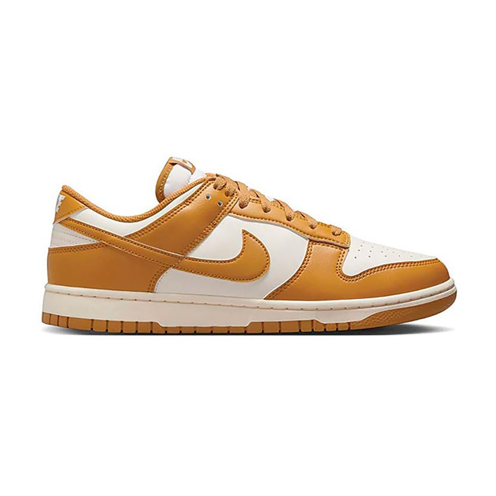 Mens Dunk Low Retro