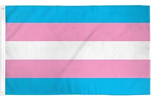 Wall-Mounted Trans Flag Expresses Pride and Solidarity
