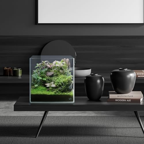 Image of UNS Ultra Clear Rimless Tank - 24GAL | 91.1L - 17.71x17.71x17.71 | 45x45x45 CM, 6mm Glass Thickness, Leveling Mat Included - Low Iron, High Clarity Fish Tank w / 45 Mitered Edge - [45C]