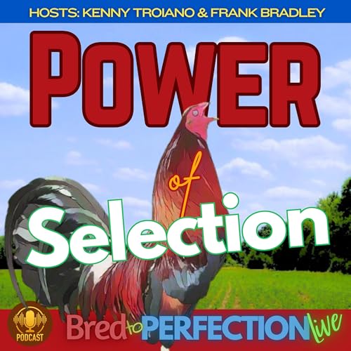 Ep290 - The Power of Selection - Transforming Mongrels into Masterpieces