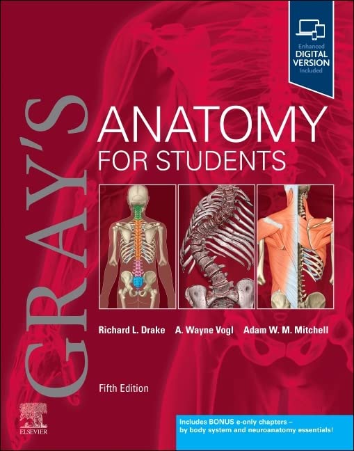 Amazon.ca Best Sellers The most popular items in Anatomy Books