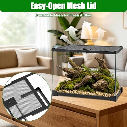 Image of Mini Glass Reptile Enclosure Terrarium 8 inchx8 inchx6 inch | Top-Opening Mesh Lid with Feeding Hole, Fully Assembled Tank for Tarantulas, Isopods,Froglets & Tiny Reptiles