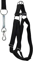 Coleira com Peitoral Americano GG para Cães Grandes Ajustável Diminui Trancos e Puxões Cor Preta