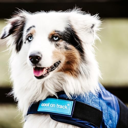 Dog Copenhagen Back-on-Track Erfrischender Anti-UV-Kälzmantel für Hunde, 50 cm, Blau