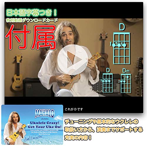 Kit de Acessórios para Ukulele
