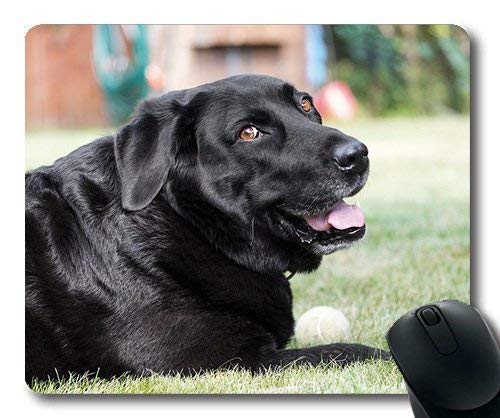 Preisvergleich Produktbild Benutzerdefinierte Mausauflage, Hunde Haustiere Garten Mausauflagen, Labrador Hund Haustier Schwarz Lachen Lachen Glücklich, Hunde Gaming Mausmatte