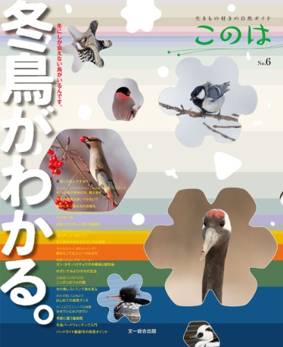 冬鳥がわかる。 (生きもの好きの自然ガイド このは No.6)