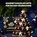 Godiva Holiday Stars Collection Gift Box, Festive Star-Shaped Chocolates with Ganache & Raspberry Filling, Limited Edition Holiday Assortment, 9 Pc