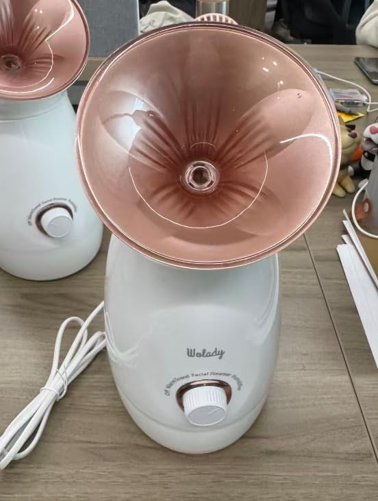 Wolady Vaporizador facial,vaporizador nano iónico para spa, función 3 en 1, desmontable, 200 ml, tratamiento de spa, apto para sauna, humidificador, limpieza de poros (Oro rosa)