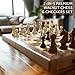 Premium 38 cm Walnut Magnetic Chess and Checkers Set - 2-in-1 Foldable Wooden Board Game with Staunton Figures, 2 Extra Ladies, Tiles and Dust Bag (Black)