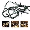 LED Universum WBLWW1065 Led-lichtketting, warmwit, met 100 led’s, lengte 10 meter, sfeerverlichting, spatwaterdicht, voor binnen en buiten, Kerstmis, feesten, woonkamer, tuin en terras