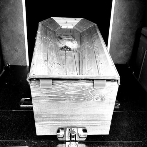 Croque-Madame copertina