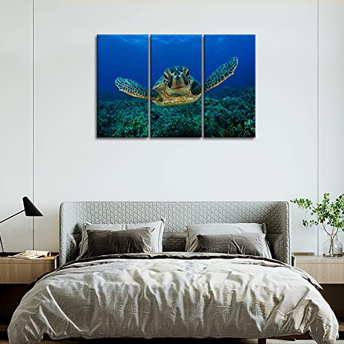 So Crazy Art- Sea Turtle Wall Art Decor Turtle Animal Swimming In The Blue Ocean Canvas Pictures Artwork 3 Panel Marine Life Painting Prints For Bathroom Living Dining Room Kitchen #TOP5