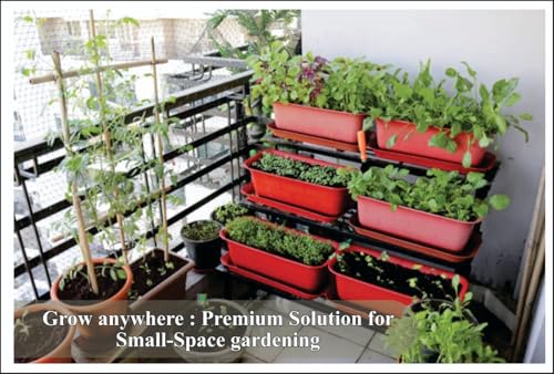 Image of NOVEL For Organic Home Garden Indian Vegetable Seed Basket (seeds 45 Variety)