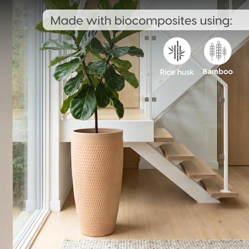 Image of Eha Earth Friendly Premia Big Planters for Home Decor | 24 inch, Pack of 1 | Plant Pot Made with Rice Husk | UV Protected Pot for Plant | Pots & Planters Big Size | Dune