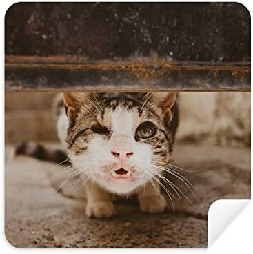 Animal Funny Cat Photograph Shoot Glasses Cloth Screen Cleaner Suede Fabric 2 Pack image 2