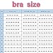 Jeeeun Comfort Rose Bra, Front Closure Comfort Wireless Lift Bra Plus Size Rose Push-Up Bra (38/85CDE, Black)