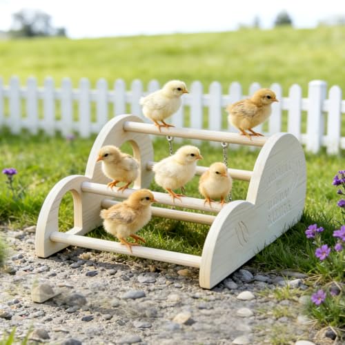 Image of Chicken Perch with Swing & Mirror, Waterproof PVC Roosting Stand for Hens Activity Gym for Chick Toys & Bantams, Durable Easy-Clean Coop and Brooder