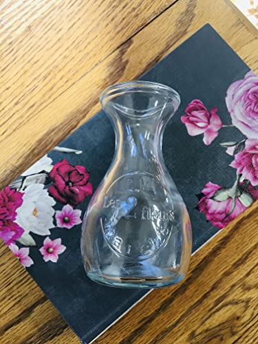 Home Décor Glass Flower & Bulb Forcing Vase (Small) - Modern Boho - Tall & Skinny #TOP1