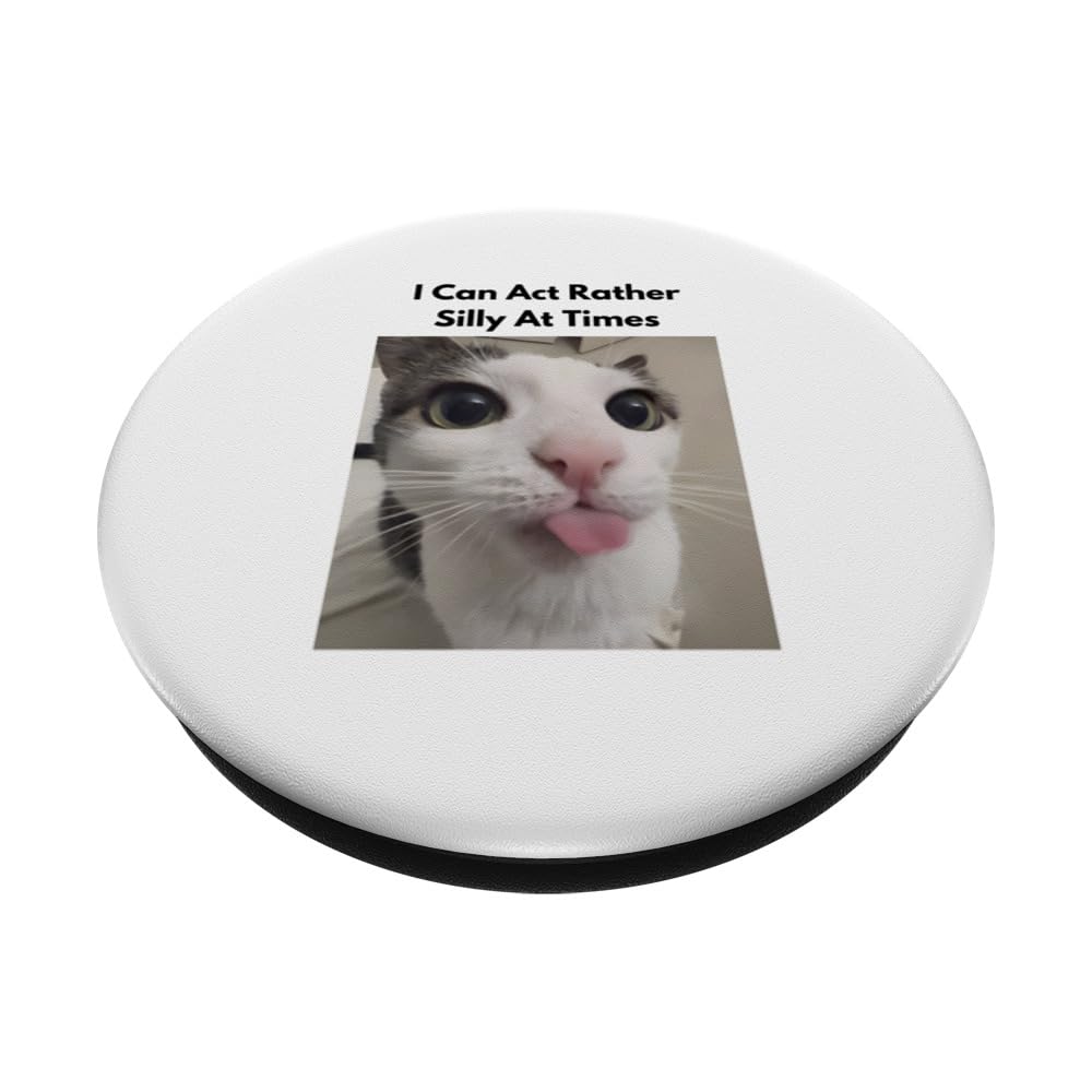 Silly Kitty Memes Polite Cat Meme PNG, Serious Cat Meme, Funny Cat