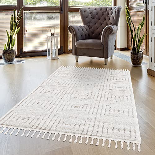 Pasha Home Tapis moderne à poils longs, shaggy pour chambre à coucher, salon - Avec franges, moelleux, motif chiné (160 x 230 cm) Cover