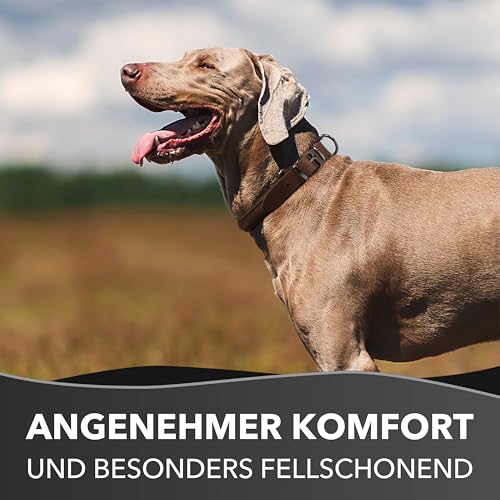 Rund & Weich - Zugstopp Hundehalsband Braun L - 55cm Lederhalsband mit Zugbegrenzung und Verstellbarer Schnalle, Dressurhalsung, Zugstopper, robust, Rindsleder