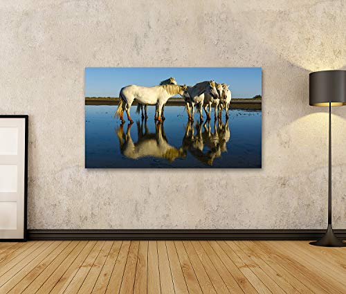 Tableau sur toile chevaux Camargue reflets blancs nets