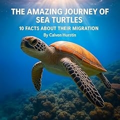 Couverture de The Amazing Journey of Sea Turtles