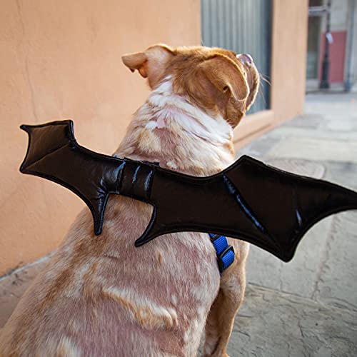 Disfraz de Murciélago para Perro PET KREWE One Size miniatura 2