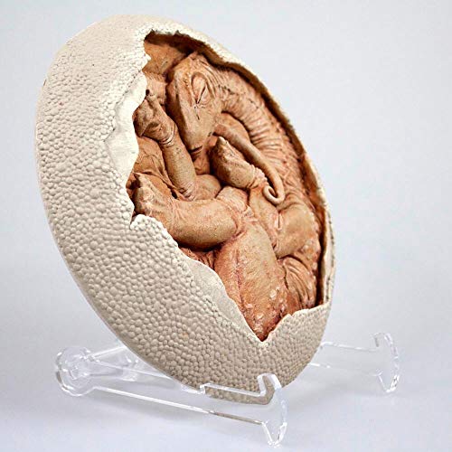 Image of TITANOSAUR Embryo