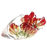 Se ve fantástico emparejado con este o en grupos de juegos. También se puede utilizar como un recipiente de airplanta/producto seco.