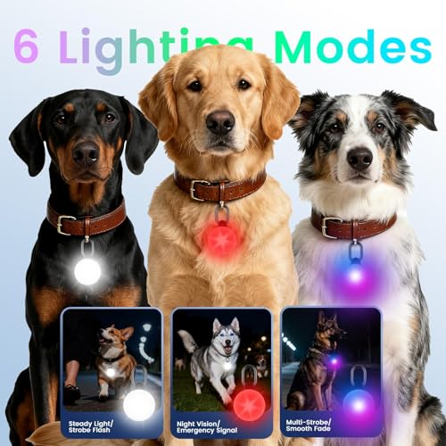 Hund Tracker, GPS Hunde Tracker mit Leuchten (nur iOS), 6 Modi IP68 wasserdichte Haustier Tracking Ausrüstung, Kompatibel mit Apple Find My-Ohne ABO