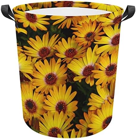 Laundry Hamper, Collapsible Laundry Basket with Handle Yellow Daisy Flowers in Spring Toys Organizer Bag Dirty Clothes Storage Basket for Bathroom, Dorm Essentials