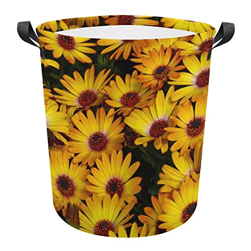 Laundry Hamper, Collapsible Laundry Basket With Handle Yellow Daisy Flowers In Spring Toys Organizer Bag Dirty Clothes Storage Basket For Bathroom, Dorm Essentials #TOP23