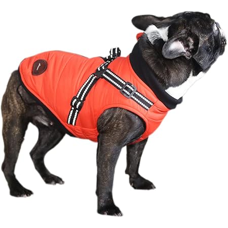 Amazon Asmpet 犬 コート 冬用 防寒着 犬 服 小型犬 防水 ドッグウェア 秋冬 暖かい 犬服 防風 ハーネス付き 犬 ジャケット 愛犬のお散歩 柔らかい 犬 コート 寒さ対策 袖なし 背中開き オレンジ L 着丈 40 5cm Asmpet